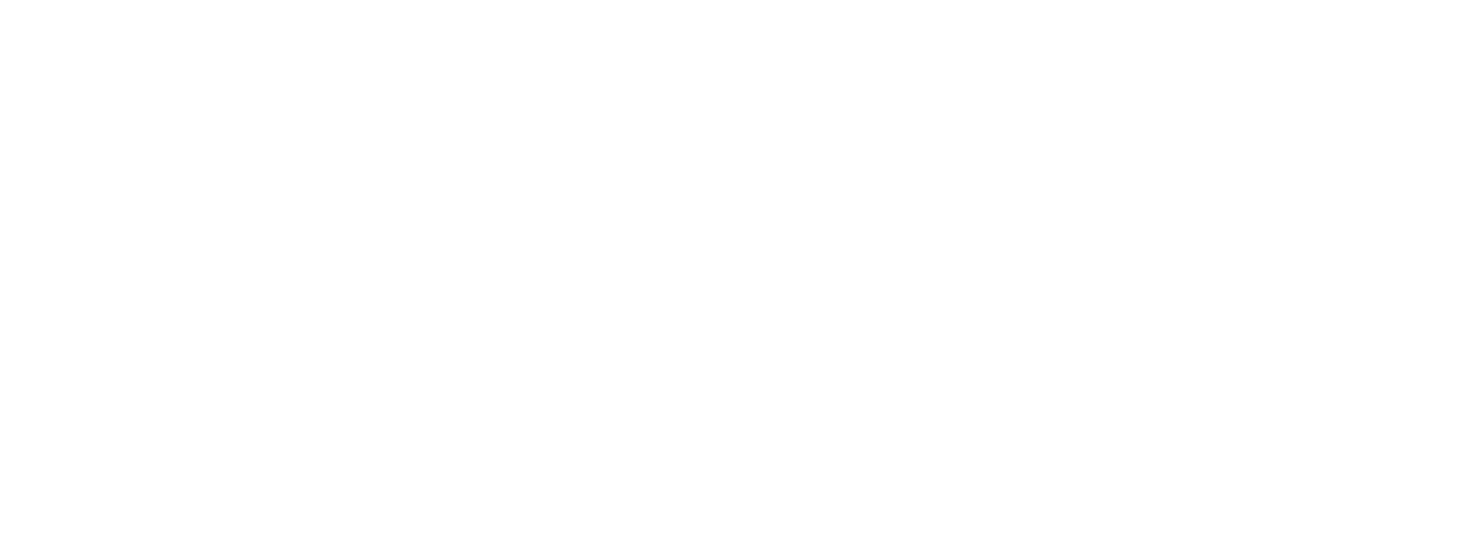 INSA Rennes